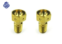 Kaliper Yağı Boru Titanyum Cıvata